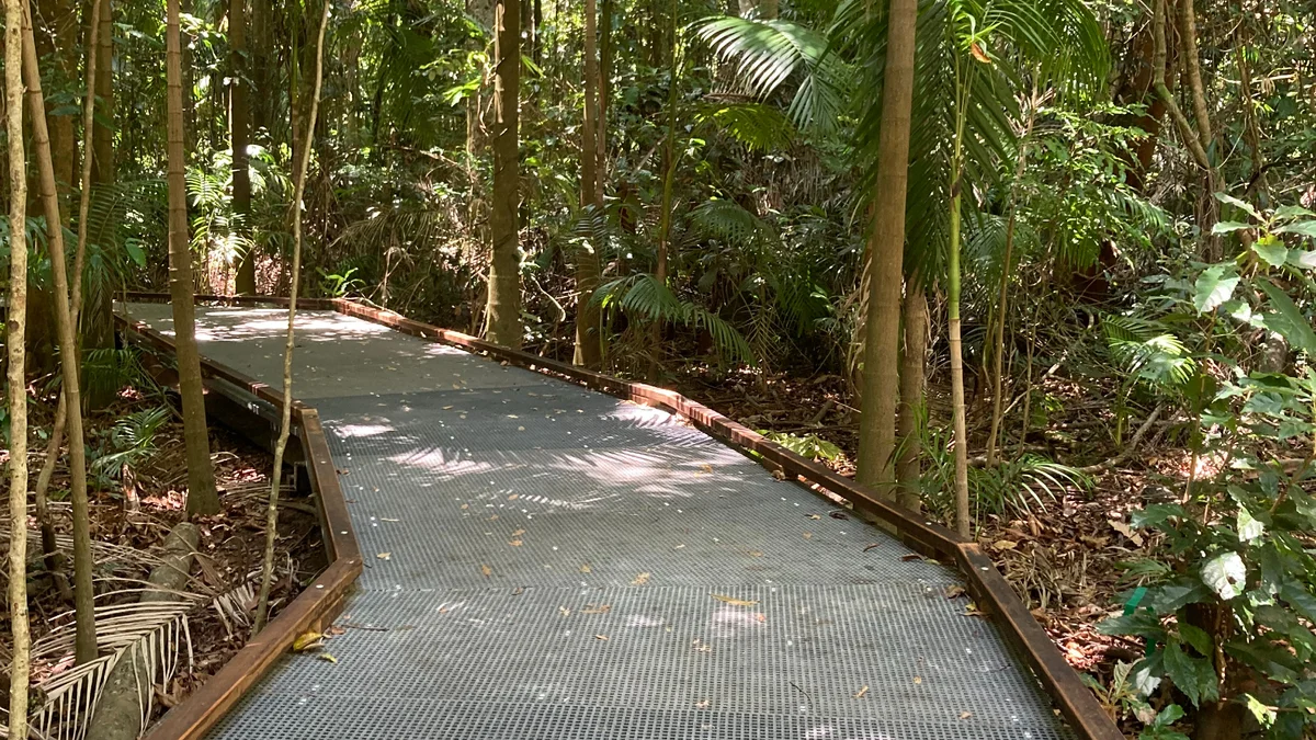 New boardwalk for Piccabeen loop track