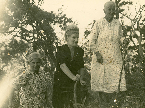 In 1948, 59 year old Jennie Love (nee Clark) visited her long-time friend Clementina who was 70 at the time. She was accompanied by Mrs Mikelson (nee Clark), and together, the trio climbed more than half way up the summit of Mt Coonowrin.
