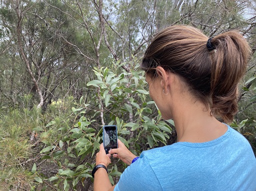 ClimateWatch trails