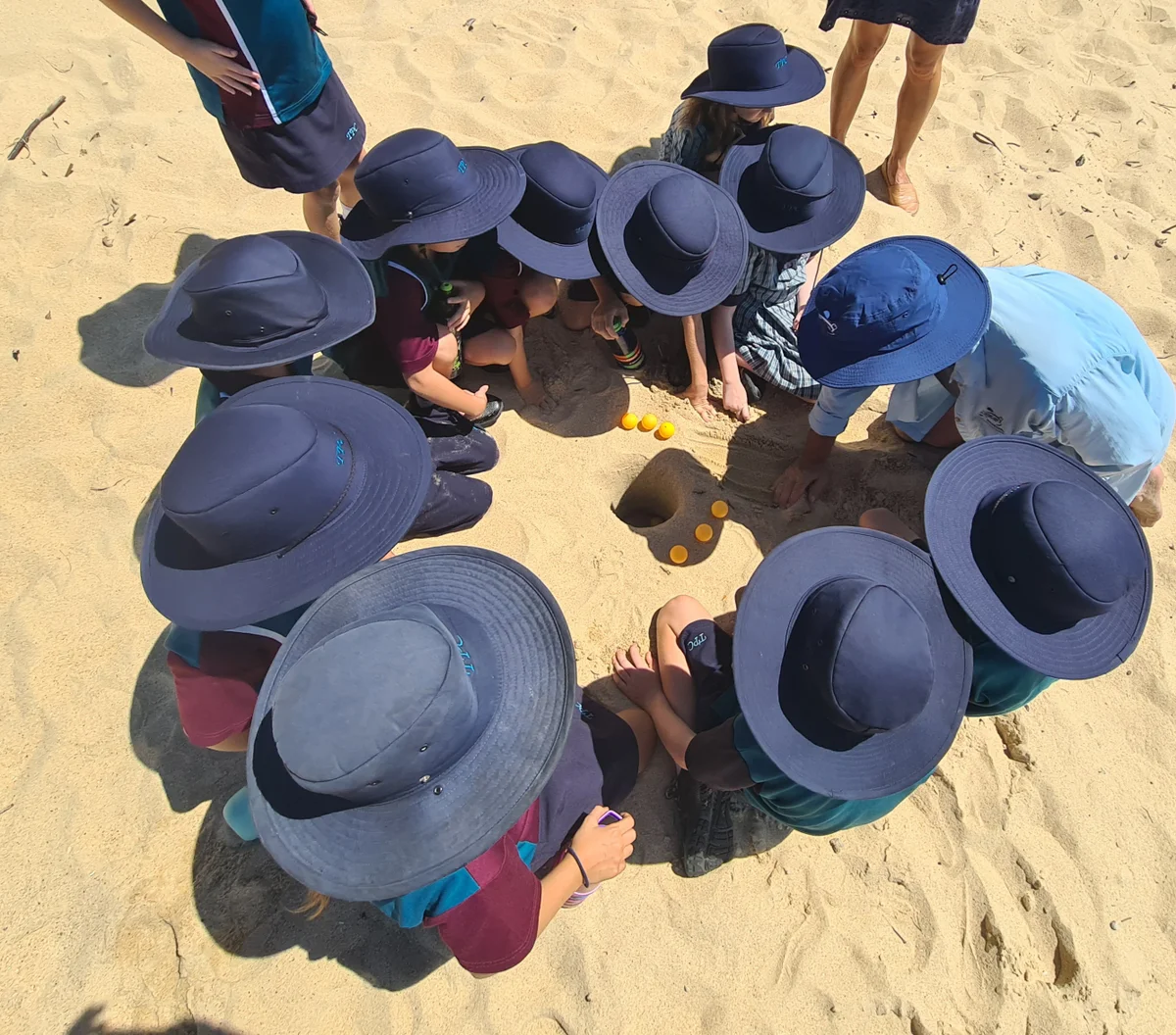 Student's top turtle queries on World Turtle Day