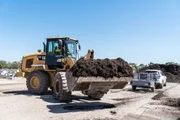 Free mulch to breathe new life into gardens