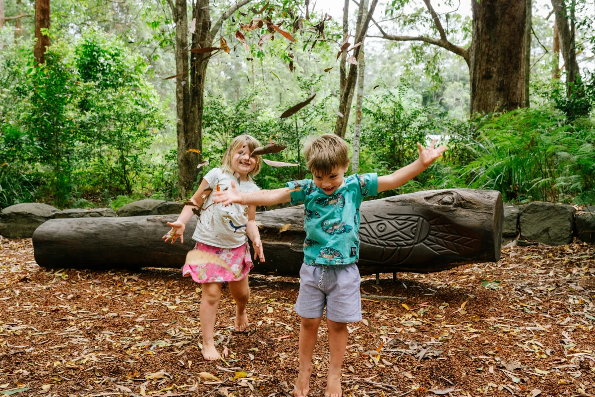 Whipbird Kindy 