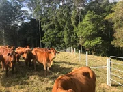 Helping hand for landholders making a difference