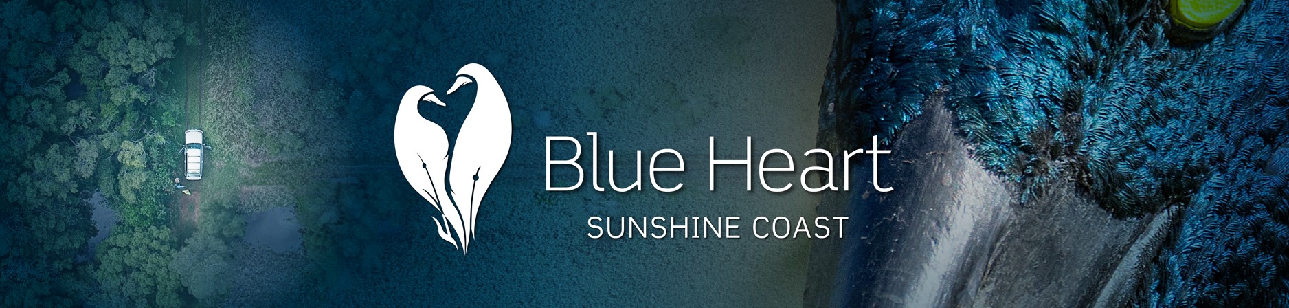 Blue Heart Sunshine Coast