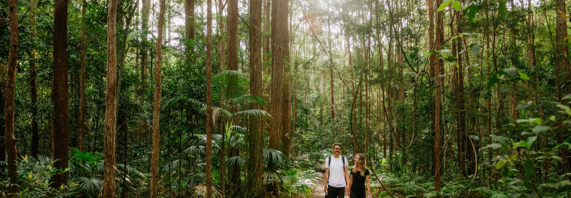 Upland walk