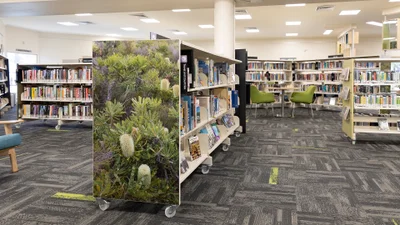 Kawana Library Rotunda