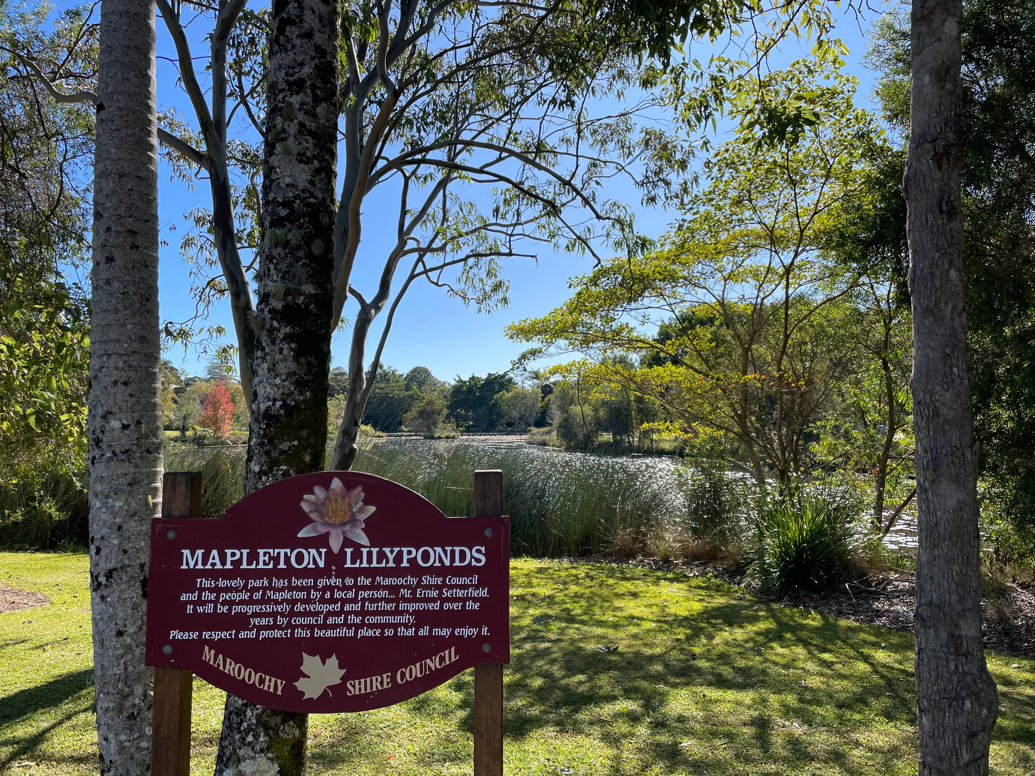 Mapleton Lilyponds Park