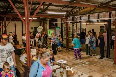 50 years exhibition