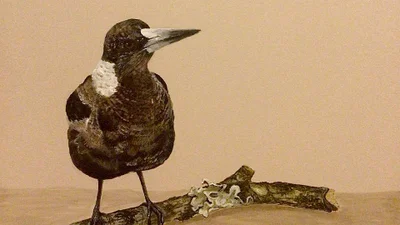 Nesting