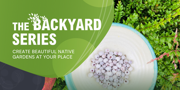 POSTPONED - Create a Native Edible Bushfood Garden