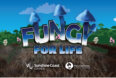 Fungi for life