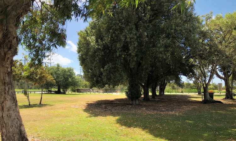 Off-leash area adds more to open space network