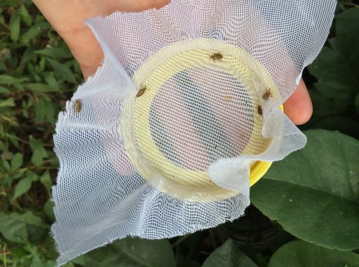 Bio-control programs