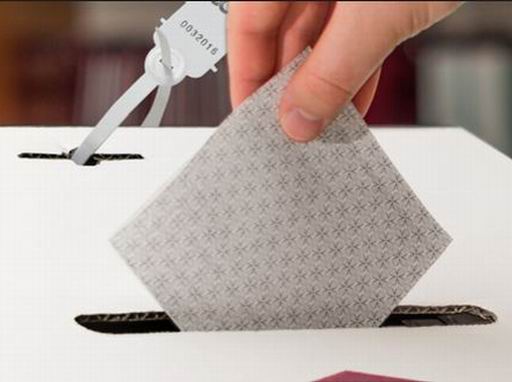 Council elections