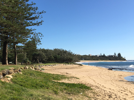 Shelly Beach