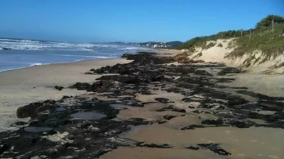 Coastal management