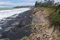 Shoreline erosion management plan