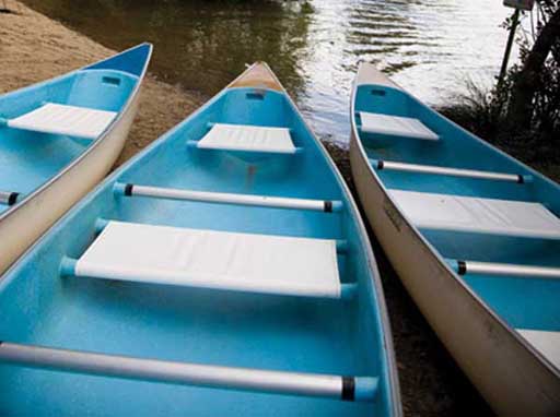 About the Maroochy River Canoe Trail