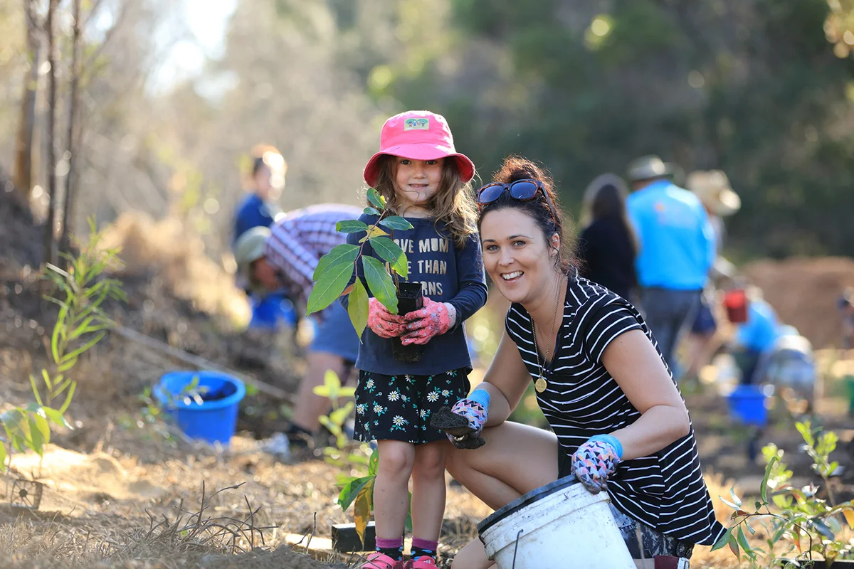 Tree planting and BushCare events