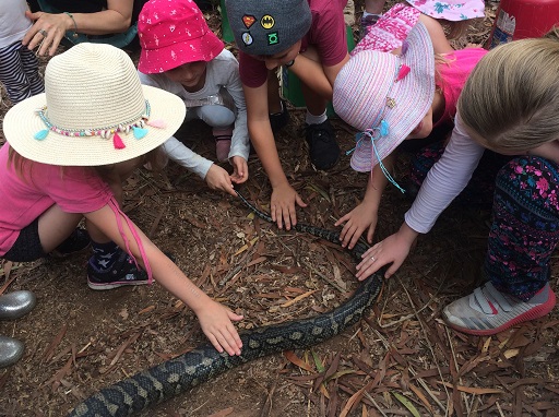 Community planting at Whitecross environmental reserve