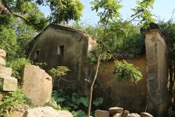 Stanley Hunt's ancestral home in Mashan was abandoned (2017)