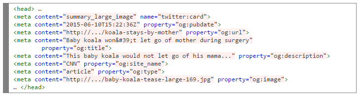 Twitter Card Coding