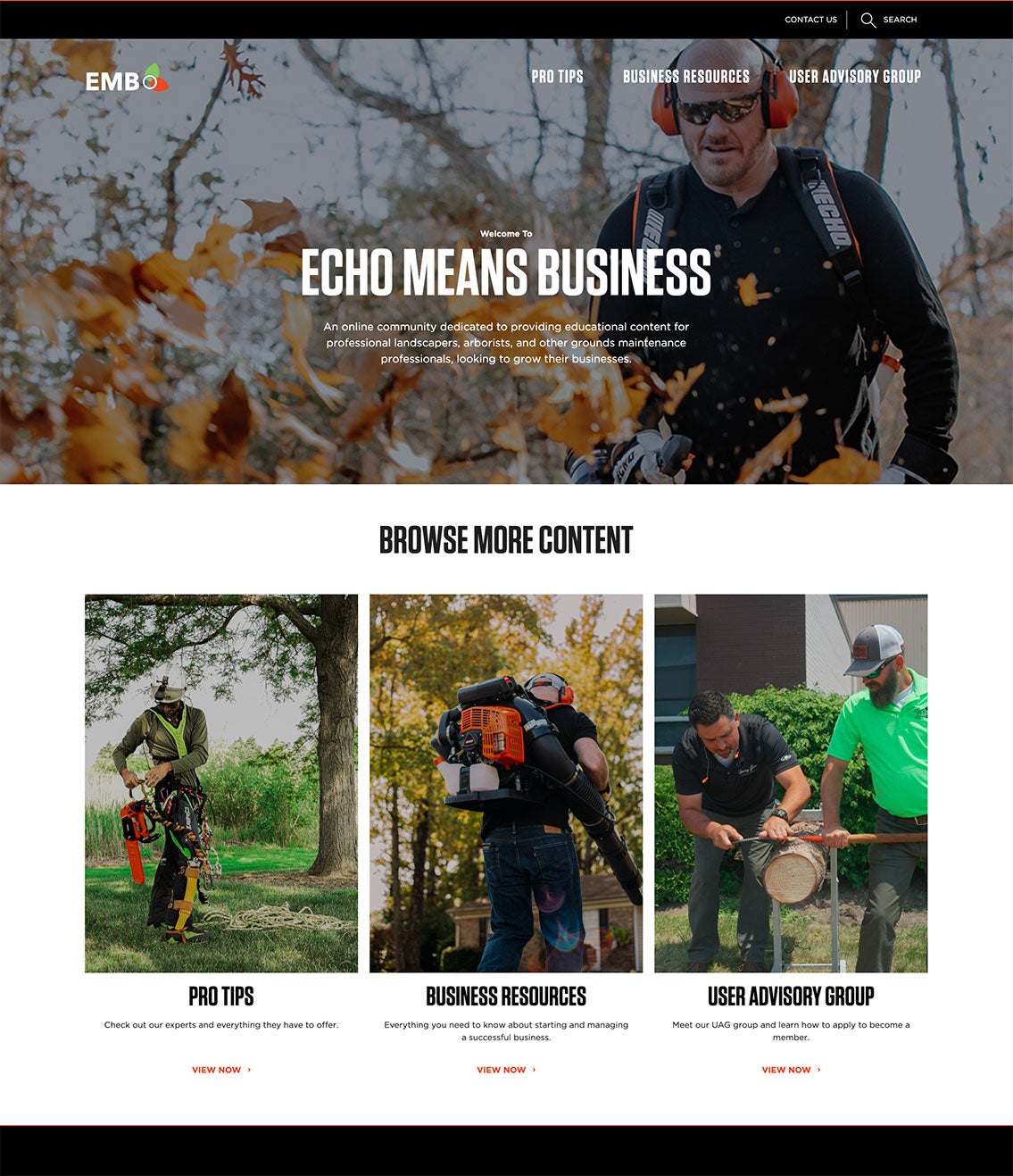 Echo Means Business Home Page