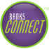 Bank5 Connect Logo Color