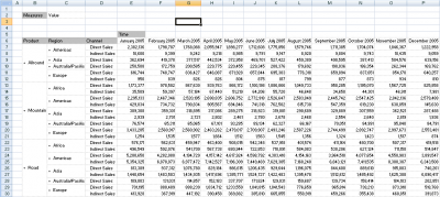 An example of a member list entered against a dimension grid.