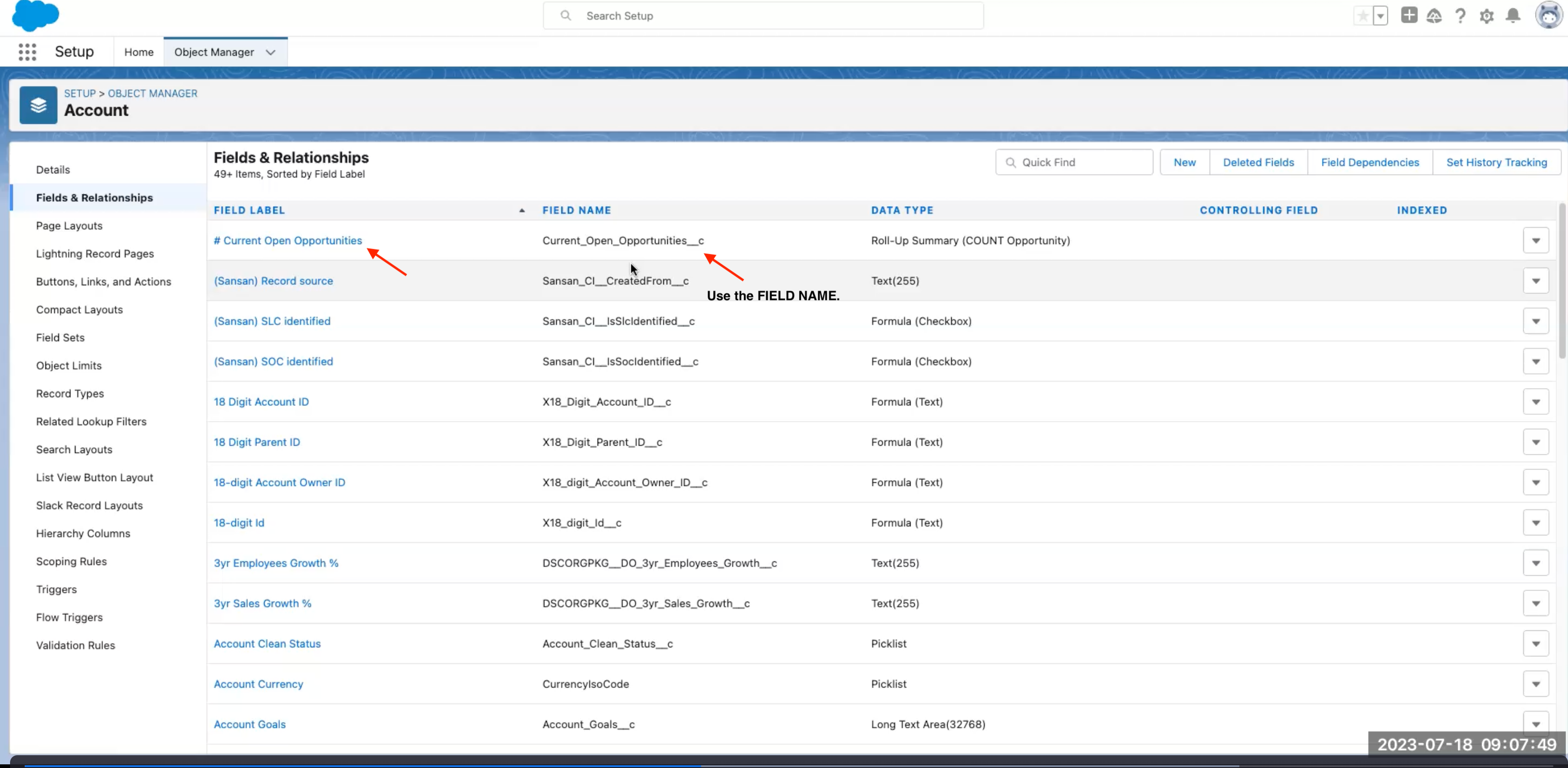 The Salesforce dialog for Setup and Object Manager, Fields and Relationships.