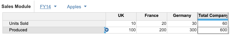 Example of a grid view in Anaplan of the Sales Module. This view will be exported in the subsequent examples to TSC format.