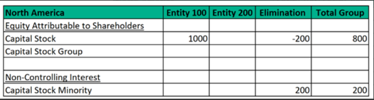 Accounts in North America for NCI calculations