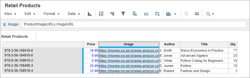 A module, Retail Products, with product ID numbers on rows and product details on columns. The Image column is selected and contains image URLs.