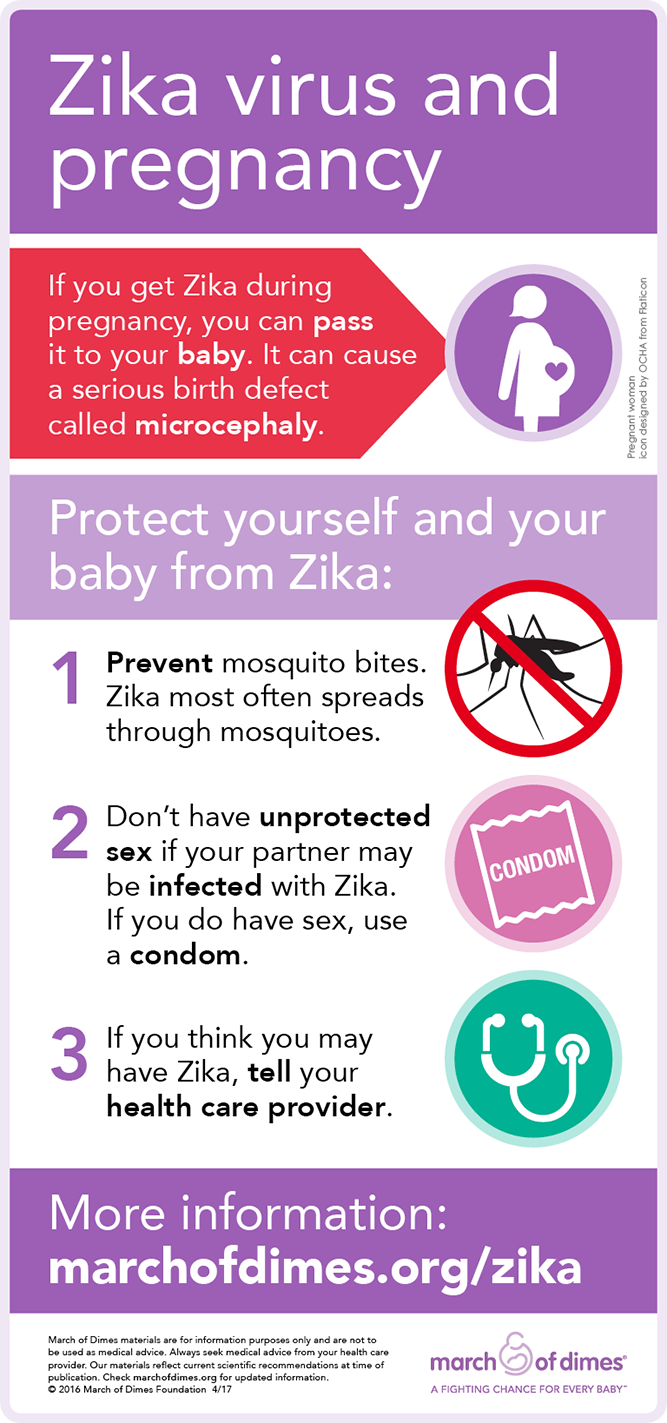 Zika Virus infographic