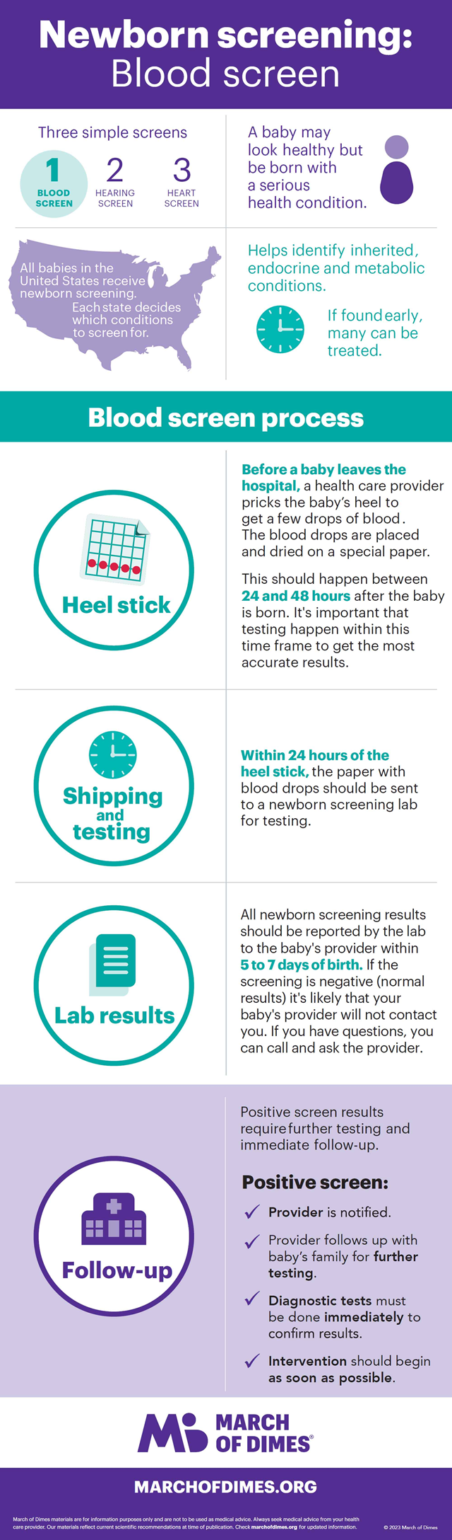 Newborn Screening: Blood Screening Infographic