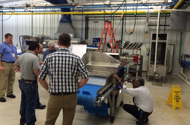 Group examining conveyor belt