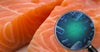 Preventing Listeria in Seafood Processing Plants