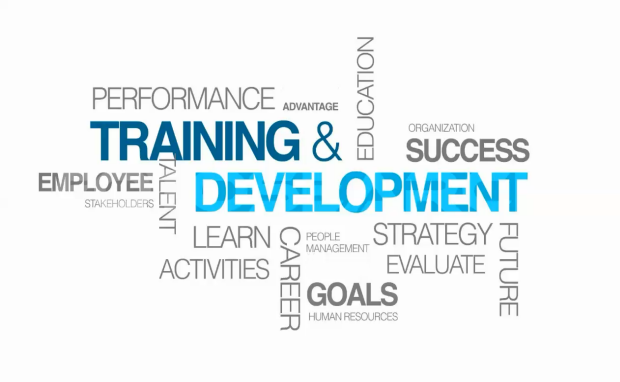 Training and Development Image