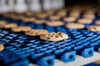 Cookies on conveyor belt