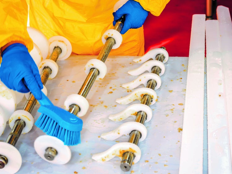 scrub brush on conveyor system