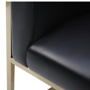 2110-60-BL.cauhaus_lounge_black_chair_seat.jpg