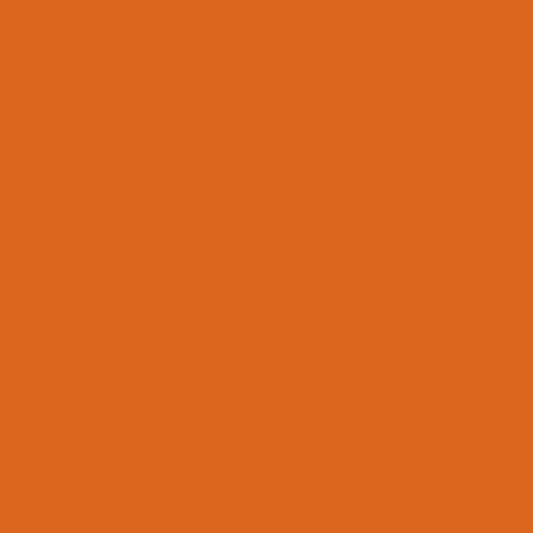 Image of 111_KFS08_Apricot_Orange.jpg