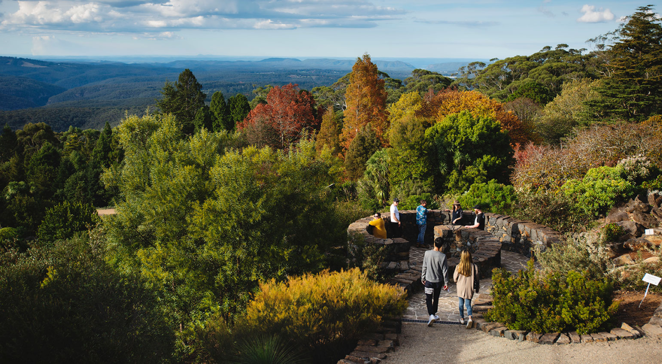 Tourists at Blue Mountains lookout