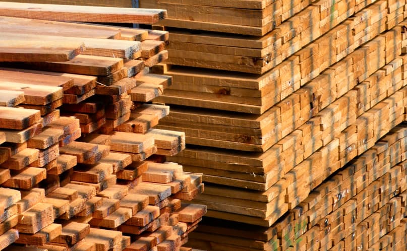 Why the Middle East Is Becoming a Strategic Hub for the Global Wood Industry