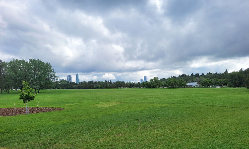 Large open grassy field in a park, bordered by trees and distant buildings, beneath dramatic dark clouds and an overcast sky.