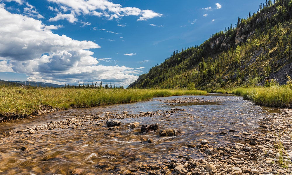 A river running through a grassy area