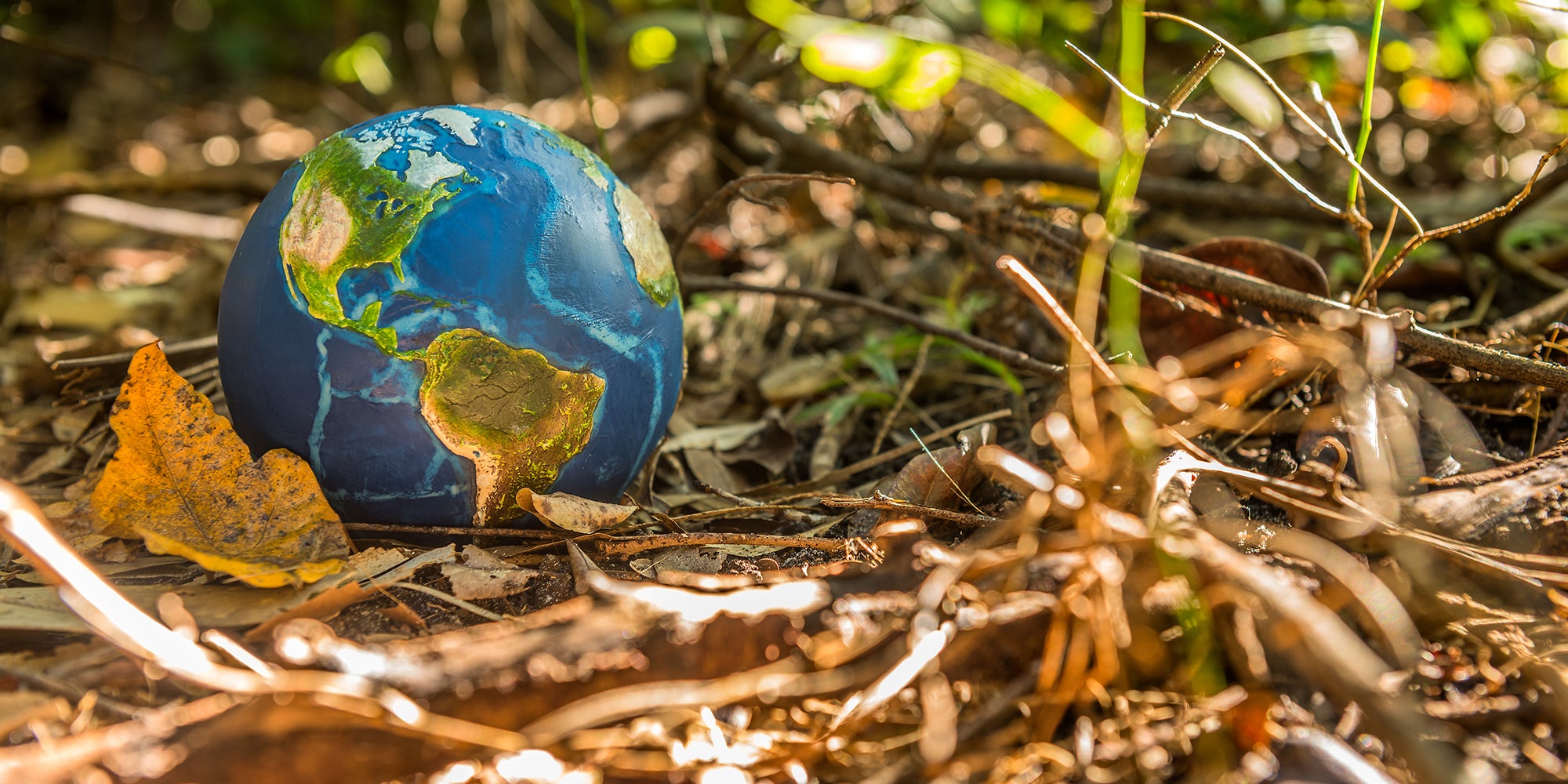 11-ways-to-make-every-day-earth-day-aHR0cHM6.jpg