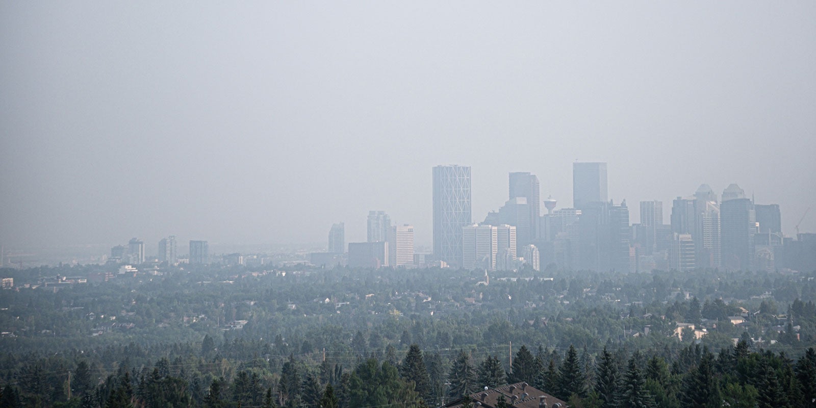 the-techlifetoday-guide-to-wildfire-readiness-aHR0cHM6.jpg
