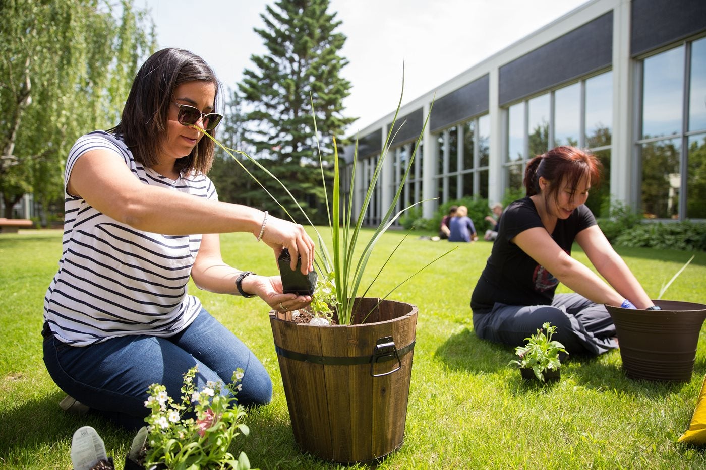 nait-ranks-among-alberta_s-top-employers-for-ninth-year-in-a-row-aHR0cHM6.jpg