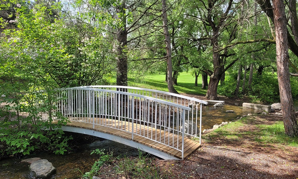 Small white pedestrian bridge crossing a narrow creek in a wooded park area, surrounded by mature trees, greenery, and a winding natural pathway.